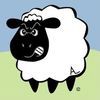 bigdaddylamb