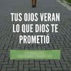 user7044905608675