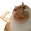 ccd.ng