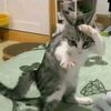 yudi_1712