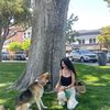 lifewithluna2020