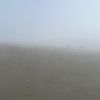 nice_bisba