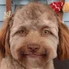 jjjjjjjjjjj4444444