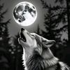 .wolves.1