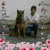 user771349074269