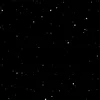 bxaviera2