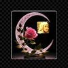 user6150135220781