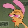 wakko003