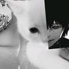 arxchen_