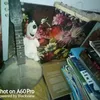 djamusdapple