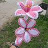 delvina_simamoraa