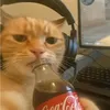 aymen_ur_mom