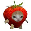 ntahhh_014