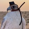 amir__m1o89