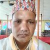 kumarbista31