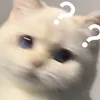 dangblue2