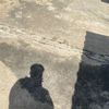 thira041