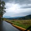 parrita.truks