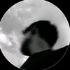 ._bota123