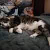 mwlovesmaxi
