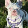 wildpaws_wanderwolves
