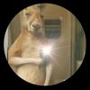 tz_ipad17