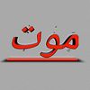 tanveermengal365