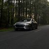 silver_bullet_sleeper21
