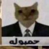 walsah_