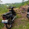 mujan_project39