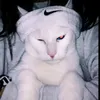 nunesxg__3