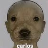 charliusabots_xd