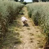 walkingwithleo