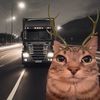 bunnyali3n
