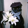 bittterwhiskey
