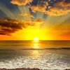 val_2356