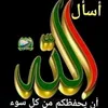 dyf6bb0ehg56