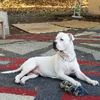 avilesremodeling1