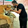🦁WØRLD ØF ANIMÁLS🦁