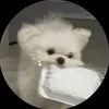 luca_________1114