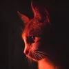 dy2aqaobnqn2