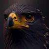 .ali.alsalim