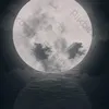 dyznz8uuxo46