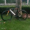 fachri124