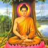 yamin