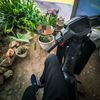 apin_585