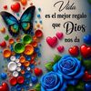 clara.del.carmen.2