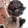user4lmj9eu2ft