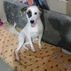 jomari28208