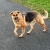 lennygirlgsd